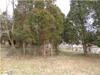 Blue Spruce Dr, Santa Claus IN 47579
